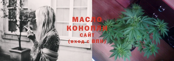 mdpv Бородино