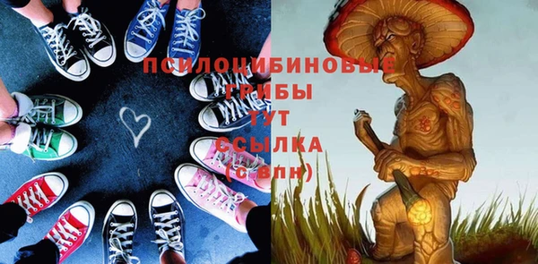 mdpv Бородино