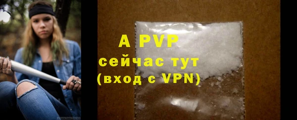 mdpv Бородино