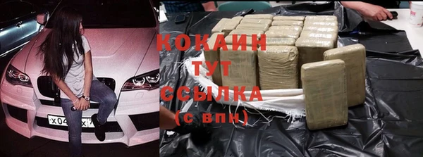 mdpv Бородино