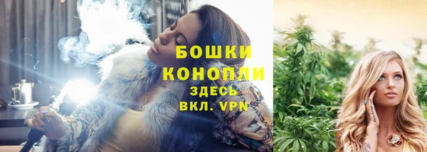 mdpv Бородино