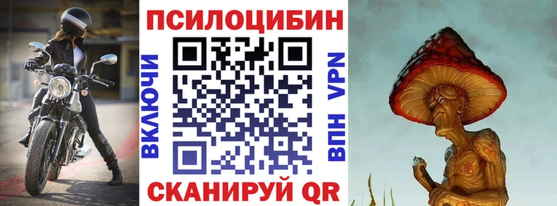Купить где  Новоаннинский  Псилоцибиновые грибы мицелий 